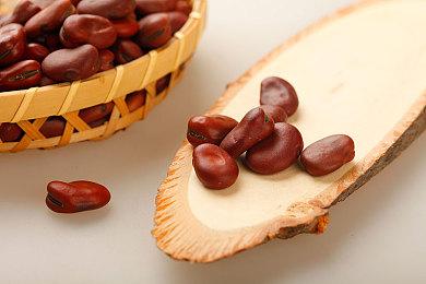 画风敲可爱的多人本地合作游戏《萌宠拆拆乐》demo试玩上线steam！